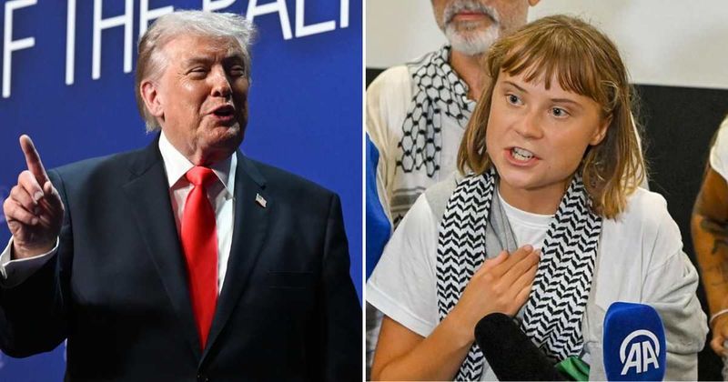 Fact Check: Did the State Department ban Greta Thunberg over a post threatening Trump?