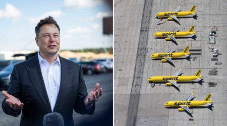 Fact Check: Is Elon Musk purchasing Spirit Airlines amid its shutdown?