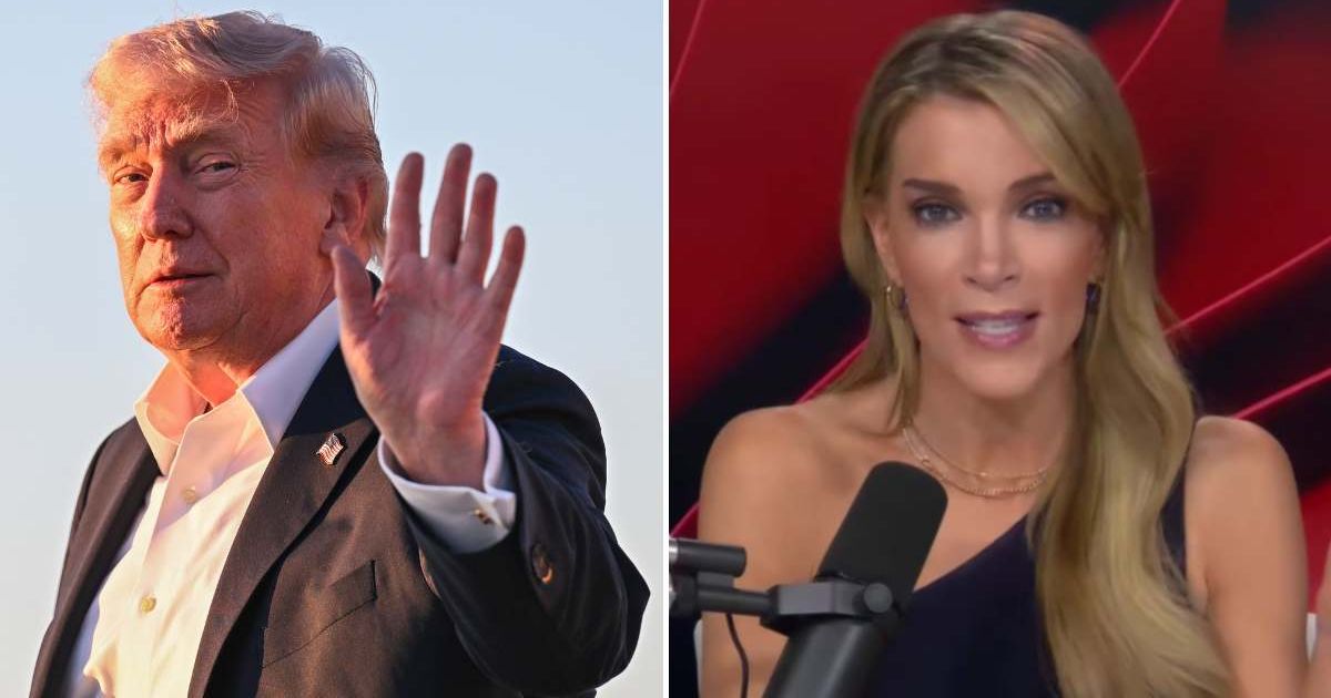 Despite past friction, Megyn Kelly thinks that Donald Trump met expectations (Roberto Schmidt/Getty Images, Screengrab/Stephen A Smith/YouTube)