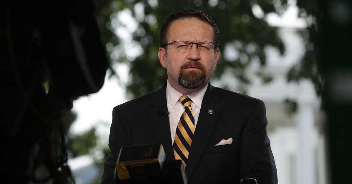 National Security Council Director Sebastian Gorka spearheaded the new National Counterterrorism Strategy, which seeks to identify and neutralize Antifa's ties to international groups (Alex Wong/Getty Images)