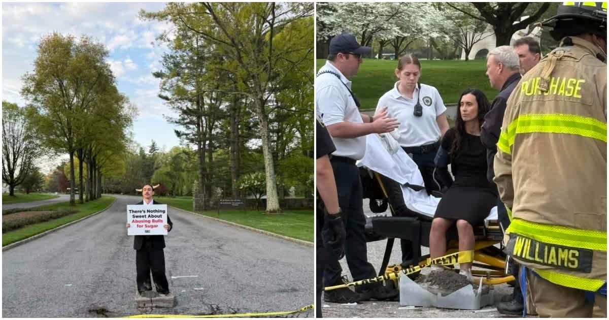 People for the Ethical Treatment of Animals protesters were arrested after demanding PepsiCo stop sourcing sugar from India over alleged bull abuse (X/@peta)