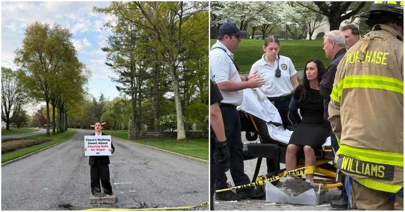 Video shows PETA activists encasing feet in cement outside PepsiCo HQ over bull abuse claims