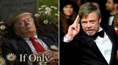 White House calls Mark Hamill 'sick' over Trump grave meme, blames left for inciting attacks