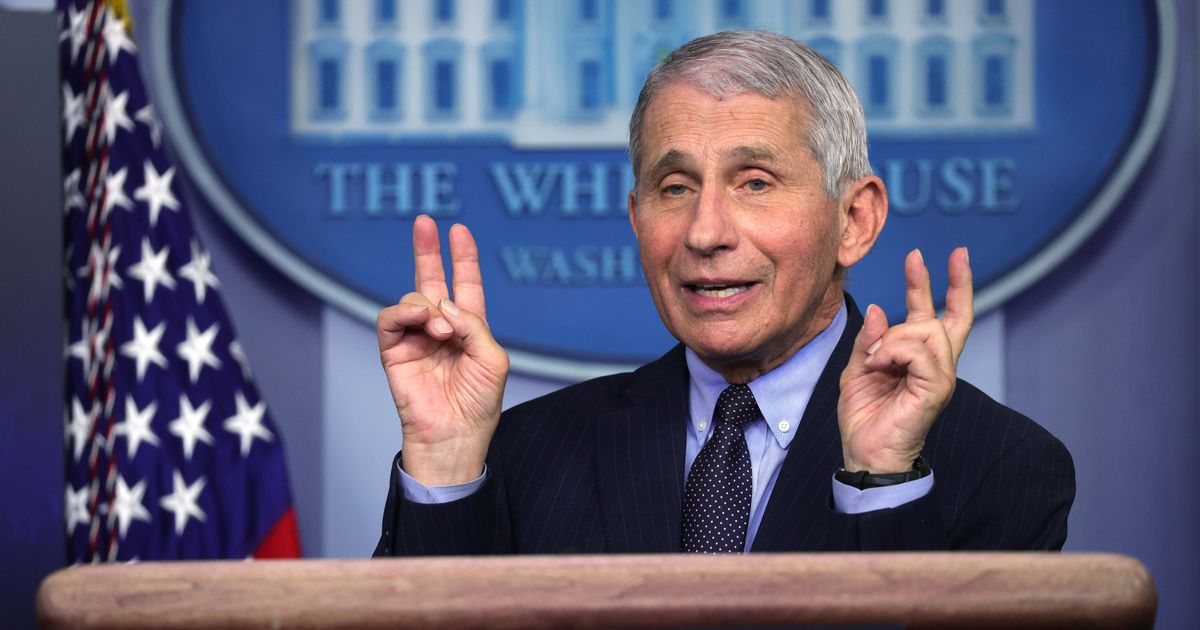 According to a viral post, Dr Anthony Fauci said it may be time to start wearing masks again and maintaining social distance amid concerns over a hantavirus outbreak on the cruise ship MV Hondius (Getty Images)