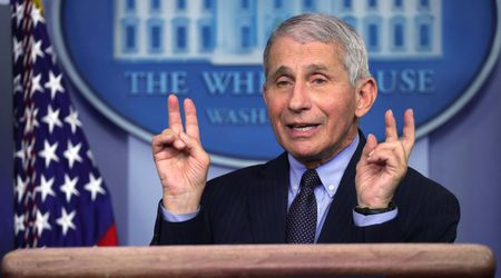 Fact Check: Did Dr Anthony Fauci say people should wear masks again amid hantavirus concerns?