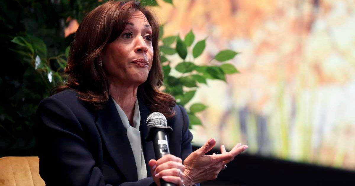 Kamala Harris said many Americans now see the American dream as a 'myth' because upward mobility no longer feels achievable (Ian Maule/Getty Images)