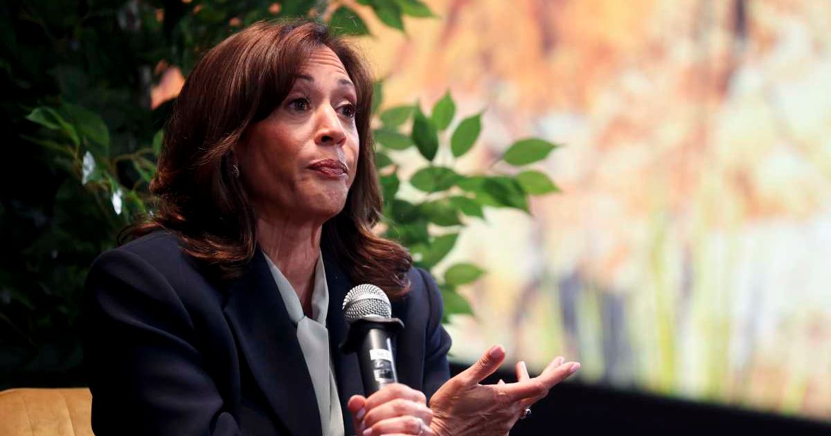 Kamala Harris accused Donald Trump and Republican allies of trying to 'rig the 2026 elections' after Virginia’s Supreme Court blocked a new congressional map (Ian Maule/Getty Images)