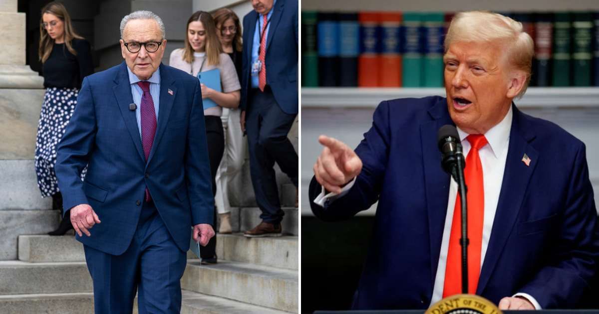 Trump unveils a 2026 ‘election integrity army,’ targeting Chuck Schumer as he intensifies his fight over election oversight (AP Photos, Getty Images)