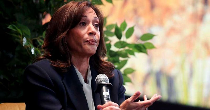 Harris loses donor support as Dems seek ‘new blood’ for 2028: ‘She wouldn’t appeal to swing voters’