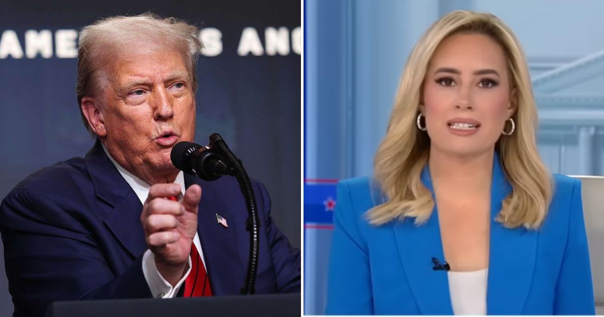 Donald Trump claimed Jacqui Heinrich failed to sufficiently challenge Democratic Rep Ro Khanna during his appearance on her show 'The Sunday Briefing' (Win McNamee/Getty Images, Fox News/YouTube)