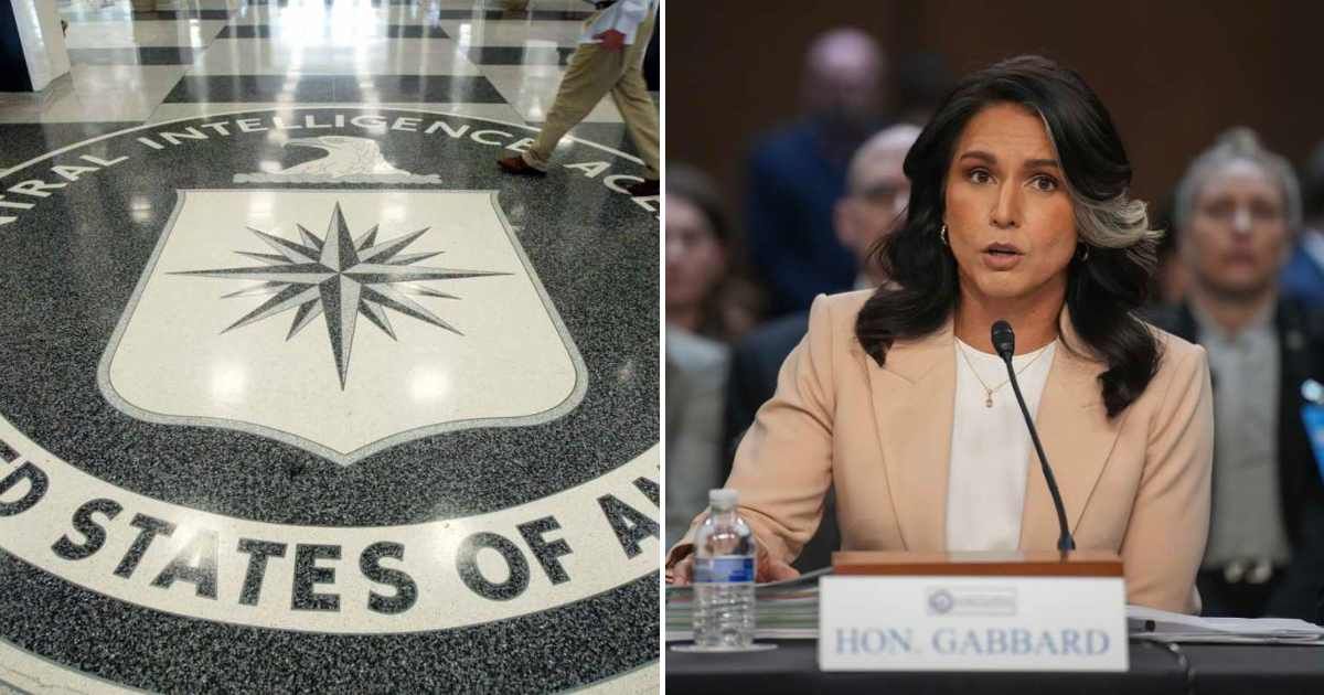An online rumor claims that the CIA conducted a raid at Tulsi Gabbard's office, seizing sensitive files (Getty Images)