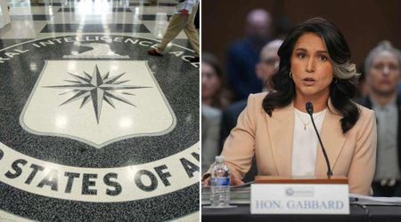 Fact Check: Did the CIA conduct a raid on Tulsi Gabbard's office?