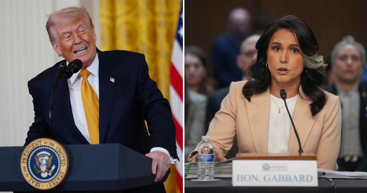 Social media post claims President Donald Trump called the rumors about the CIA raid at Tulsi Gabbard's office 'fake' (AP Photo, Getty Images)