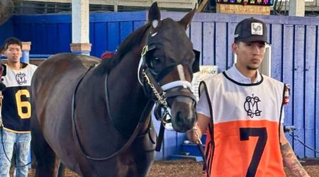 Tragedy strikes Preakness Stakes weekend after racehorse Hit Zero dies moments after debut race