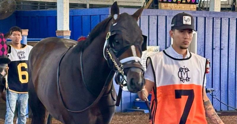 Tragedy strikes Preakness Stakes weekend after racehorse Hit Zero dies moments after debut race