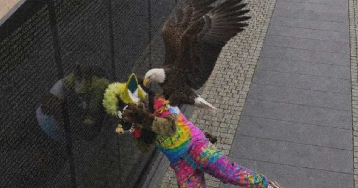 The viral image showed a bald eagle swooping toward a man in a furry costume near a memorial wall (@MrPitbull07/X)