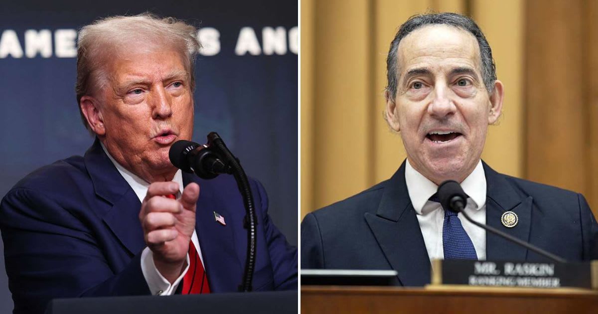 Jamie Raskin blasts the potential fund as a 'political slush fund,' arguing it is 'illegal' and 'unconstitutional' (Photo by Win McNamee/Getty Images, Al Drago/Getty Images)