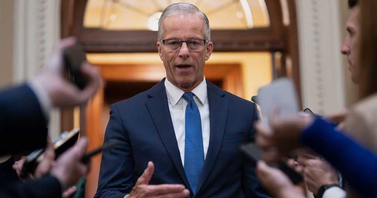 Fact Check: Did John Thune and GOP senators plot with Democrats to remove Trump in 2026?