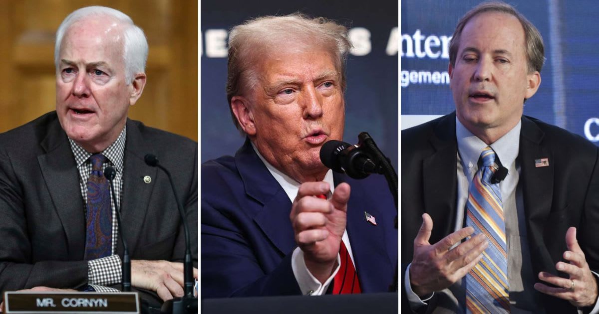 After Trump announced his support for Paxton, John Cornyn said it was time for Texas Republicans to choose between a strong nominee and a weak one (Photos by: Hannah McKay - Pool/Getty Images) 