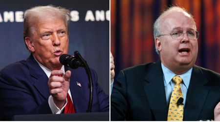 GOP strategist Karl Rove turns on Trump in WSJ column ahead of midterm elections