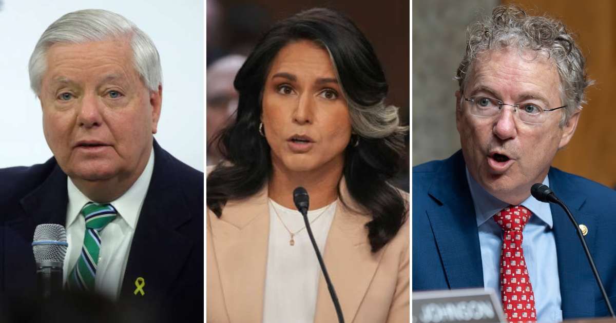 Senators Rand Paul and Lindsey Graham offered strong praise and support for Tulsi Gabbard following the announcement that she will step down as Director of National Intelligence on June 30th (Johannes Simon/Getty Images, Andrew Harnik/Getty Images, AP Pho