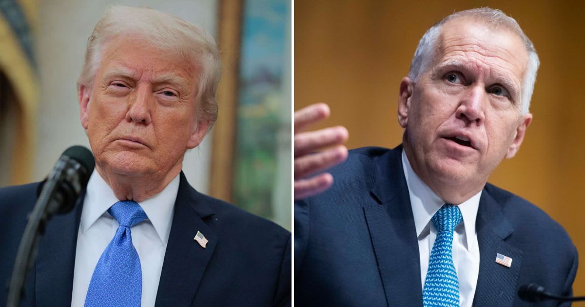 'If opposing these things makes me a RINO, then I gladly accept that nickname,' Thom Tillis said as Trump called him 'weak and ineffective' (Getty Images)