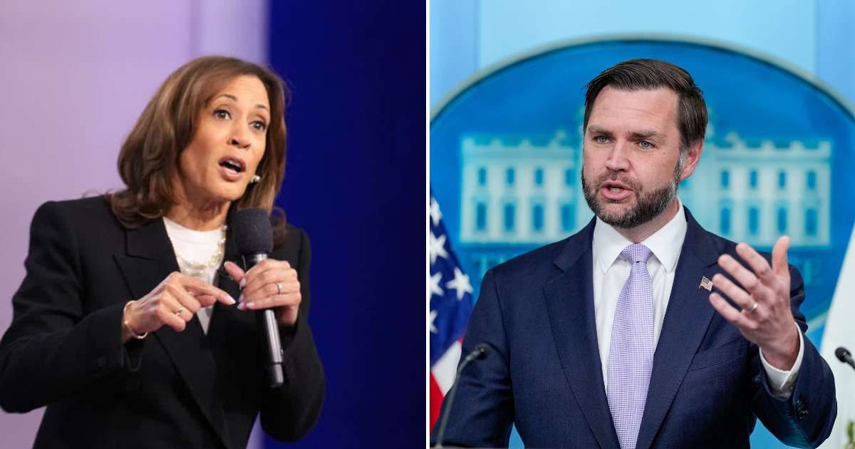 Democrats and Kamala Harris allies reportedly doubt her chances in a potential 2028 White House run (Getty Images, AP Photo)