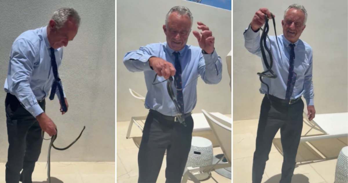 RFK Jr is seen handling mating snakes barehanded in a viral clip, while Cheryl Hines urges him to stop during the incident (Robert F. Kennedy Jr/X)