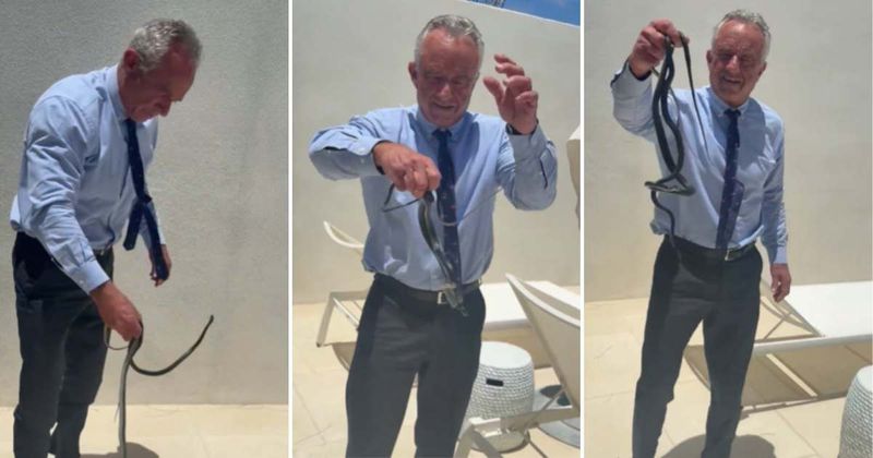 RFK Jr handles mating snakes barehanded as Cheryl Hines reacts, ‘you’re nuts’ in viral video