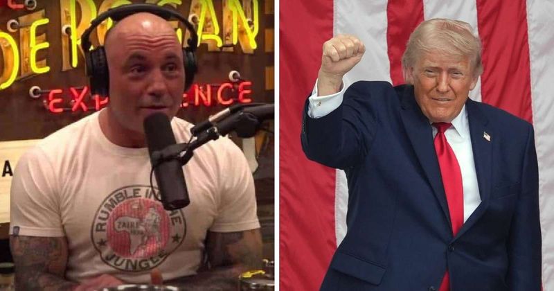 Trump brushes off Joe Rogan’s criticism of White House UFC event: ‘That’s not nice’