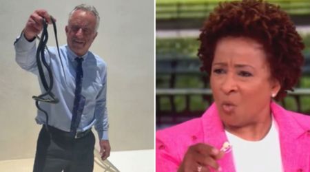 Wanda Sykes under fire for saying she was ‘rooting’ for snakes to bite RFK Jr ‘let’s go snakes’
