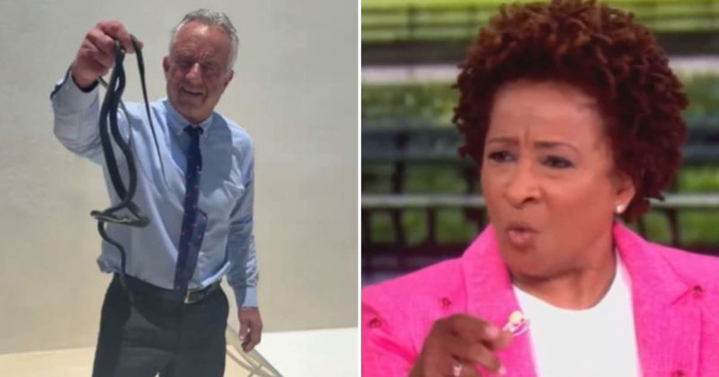 Wanda Sykes under fire for saying she was ‘rooting’ for snakes to bite RFK Jr ‘let’s go snakes’