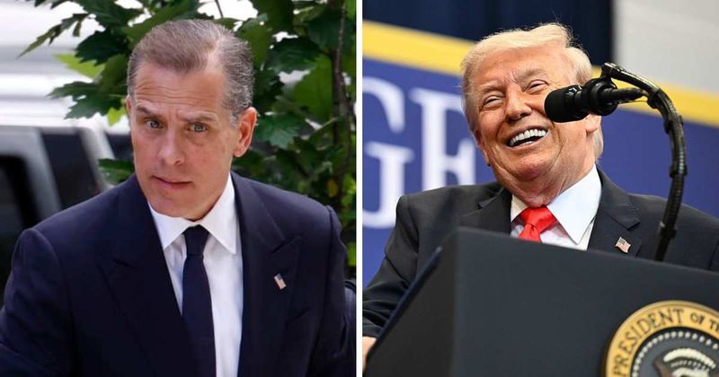 Trump floats Hunter Biden as potential Democratic challenger in 2028: 'He could do well' 