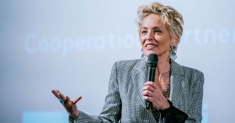 Sharon Stone says 'Euphoria' should be shown in every high school: ‘Greatest show on television’