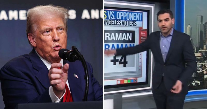 CNN’s Harry Enten calls Trump’s LA election rigged claims 'dumbest conspiracy theory'