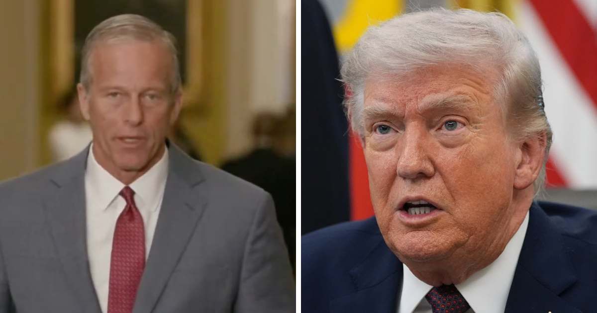 Senate Majority Leader John Thune said Republicans lack the votes to pass President Donald Trump’s SAVE America Act or end the filibuster (X @EricLDaugh/Getty Images)