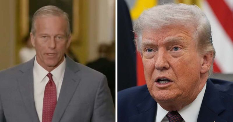 John Thune admits Trump’s SAVE America Act cannot pass Senate: ‘We don’t have the votes’