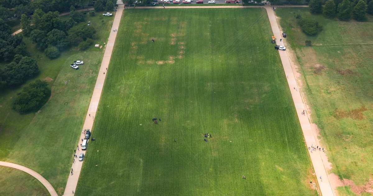 The numbers '8647' are shown in the grass on the National Mall on June 11, 2026 in Washington, DC (Anna Moneymaker/Getty Images)