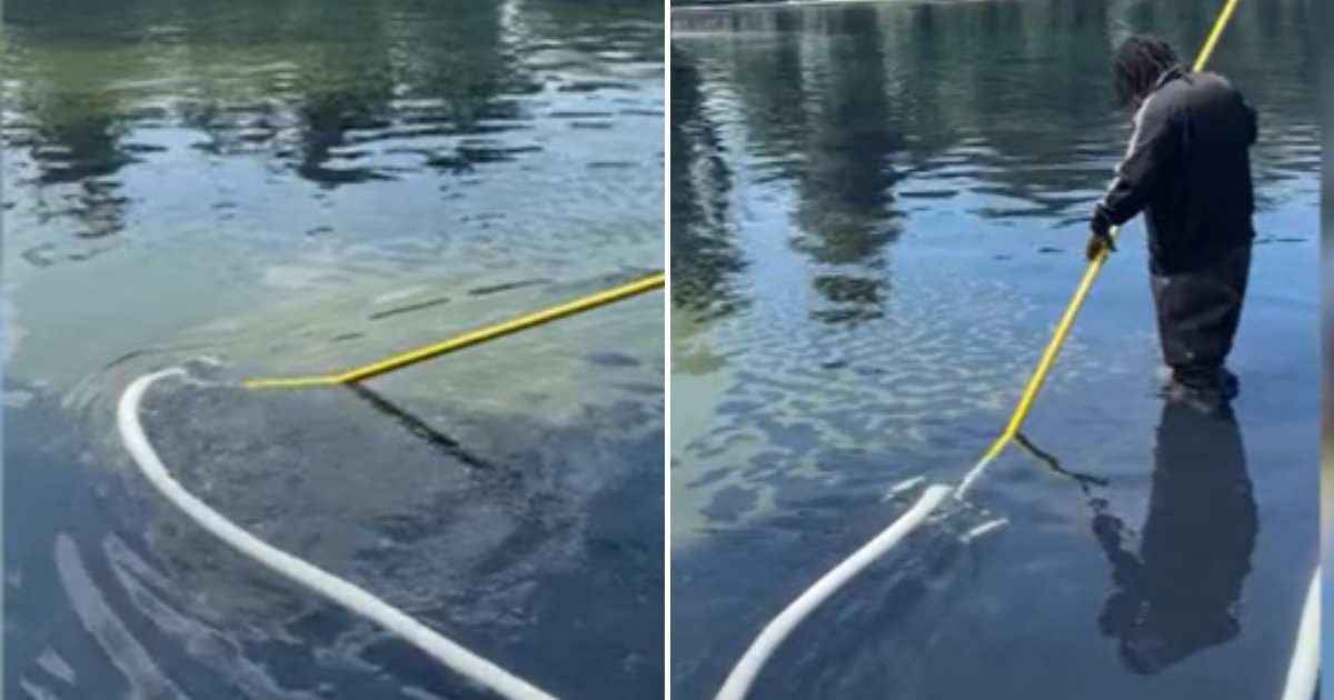 A video showing visible algae near the water's edge began circulating online (@CNN/X)