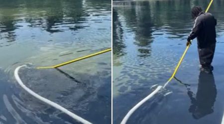 Fact Check: Is Trump's $10M Reflecting Pool already filled with algae?