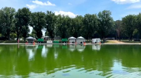 Fact Check: Did US Park Police arrest two Antifa operatives for dumping algae in Reflecting Pool?