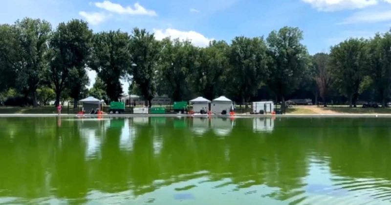 Fact Check: Did US Park Police arrest two Antifa operatives for dumping algae in Reflecting Pool?