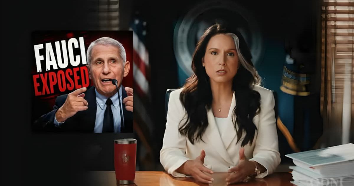 Outgoing Director of National Intelligence Tulsi Gabbard's final actions reshaped debates over COVID-era accountability and future intelligence leadership (@ODNI/X)
