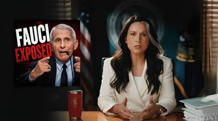 Gabbard declassifies internal pandemic files, targets Fauci as ugly DNI succession battle begins