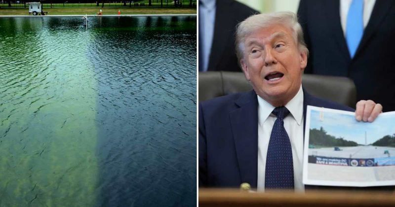 Trump blames ‘vandalism’ for Reflecting Pool damage, as algae and peeling issues persist