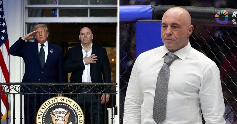 Joe Rogan reveals Trump’s response to potential attack on UFC 250: 'We've got to go somehow'