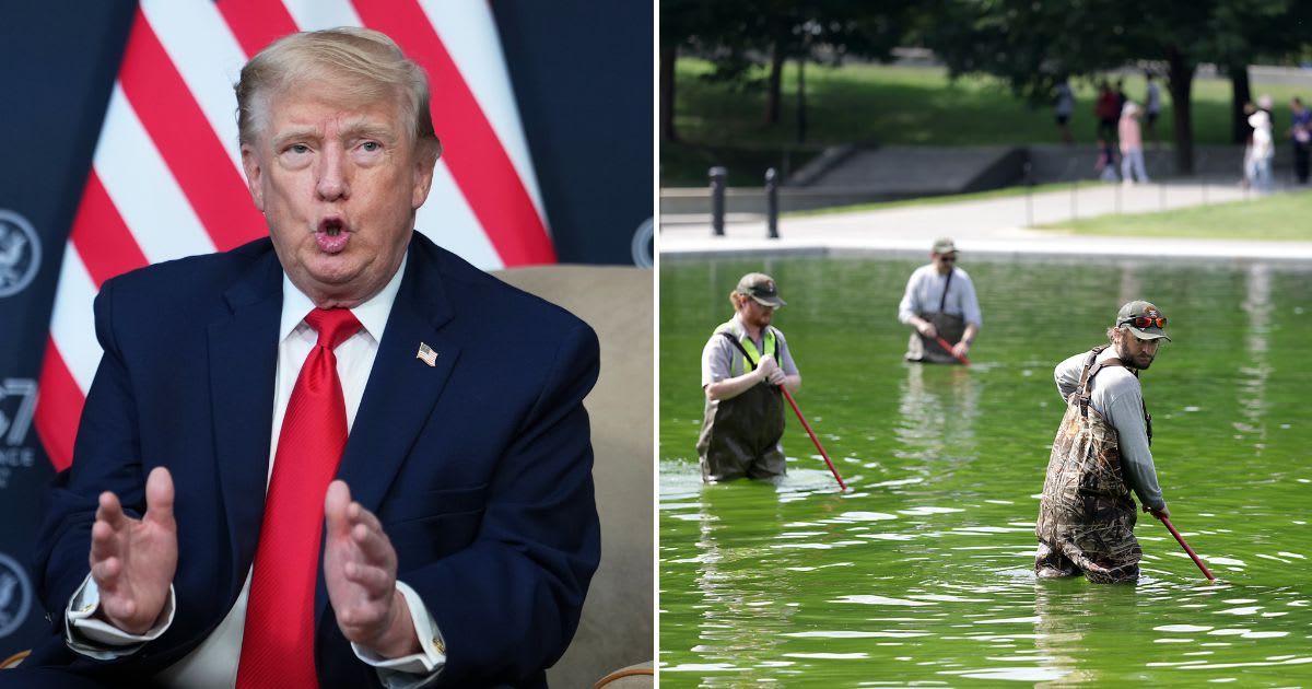President Donald Trump attributed the damage to vandalism and alleged that a chemical was poured by vandals to destroy the historical site (AP Photo/Julia Demaree Nikhinson, Getty images)