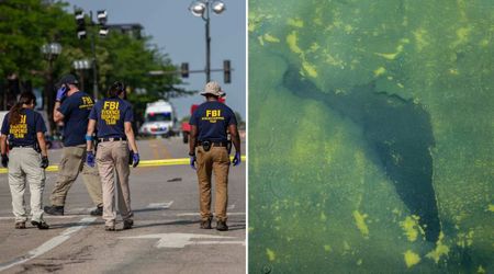 Fact Check: Did FBI find multiple boxes of algae seeds at Antifa headquarters?