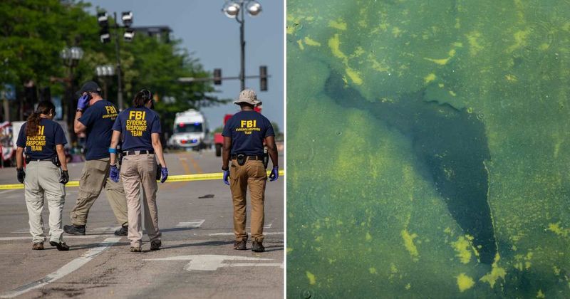 Fact Check: Did FBI find multiple boxes of algae seeds at Antifa headquarters?