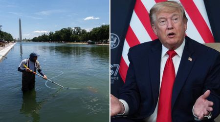 Trump fumes as DC's Reflecting Pool vandalized, hints Comey-linked 'dirty cop' behind it 